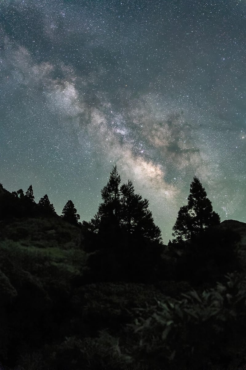 Space Navigation